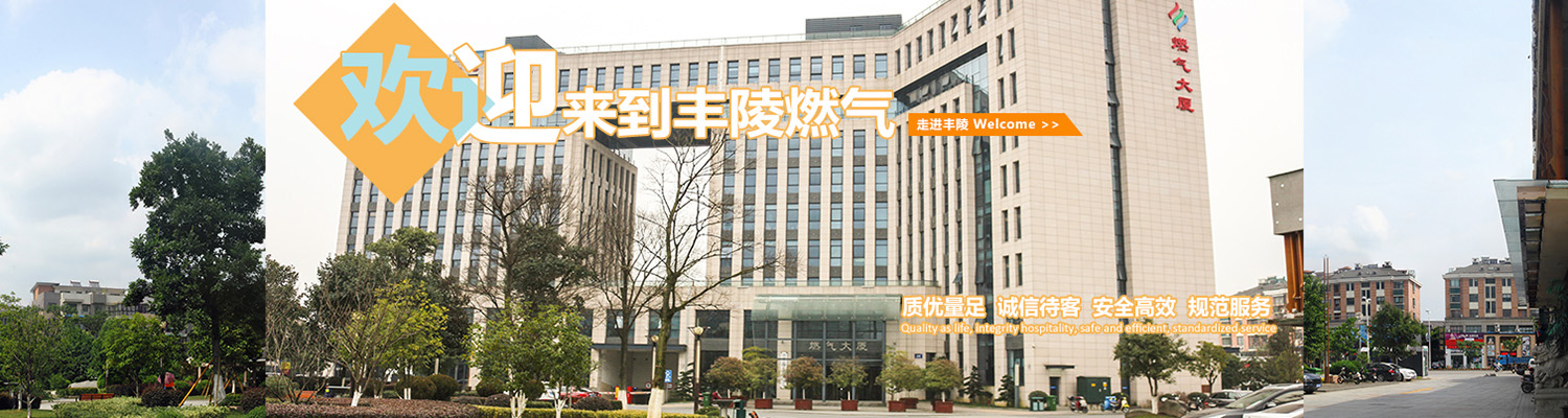 ONLINE ERP